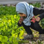 Girl Eating LEaves