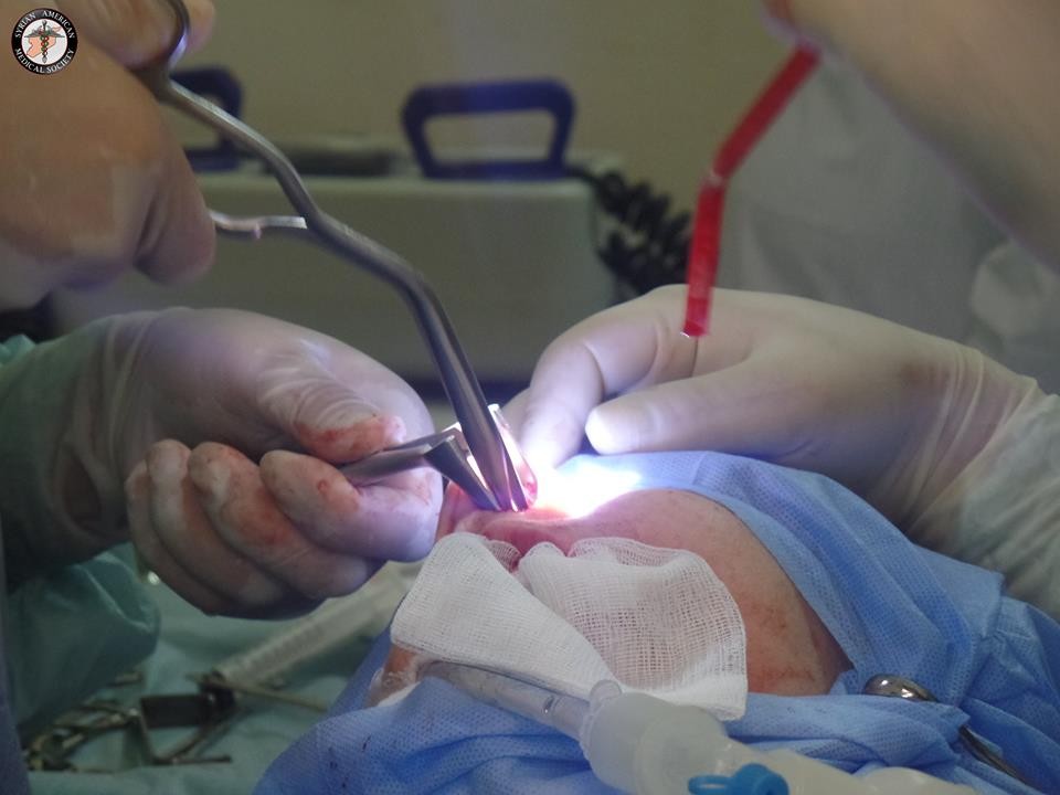 Sarmin_Polyclinic_Dental_Work_2016-33