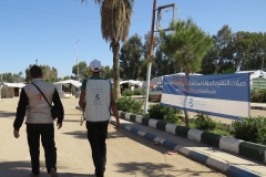 Polio Campaign in Southern Syria, April 2016