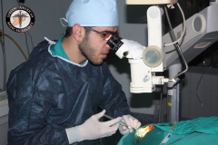 Ophthalmology