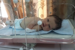 حواضن2